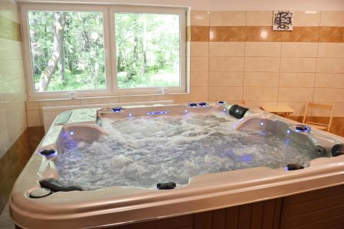 a hot tub in a bathroom with a window at Hotel Andromeda in Ostružná