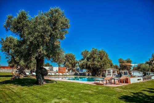 una piscina con un albero in un cortile di Masseria Il Frantoio a Ostuni