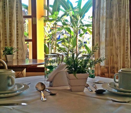 a table with a white table cloth with a plant on it at Pousada Só Natureza in Abraão