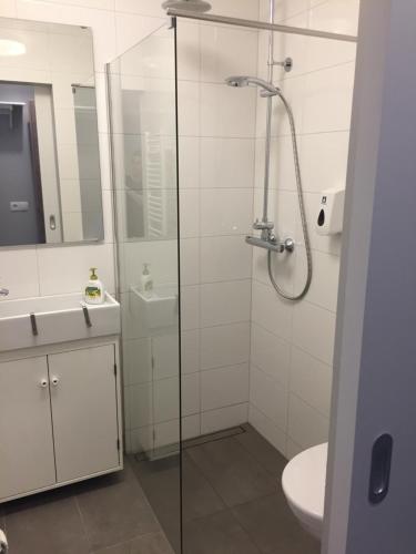 Reykjadalur Guesthouse tesisinde bir banyo