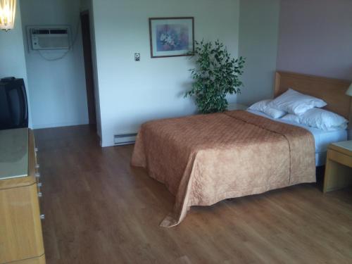 a bedroom with a bed and a plant on the wall at Rainbow Motor Inn - Fallsview in Niagara Falls