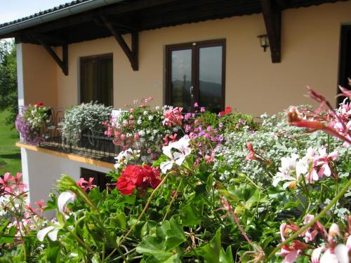 Gallery image of Haus Falle in Schiefling am See