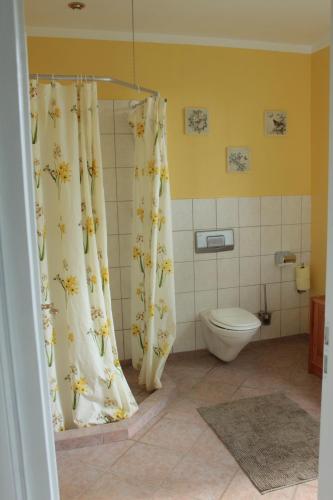 a bathroom with a toilet and a shower curtain at Gästehaus Tobringen 20 in Tobringen