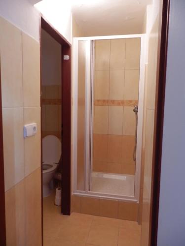 a bathroom with a shower and a toilet at Rodinné vinařství Mikulenkovi in Žernoseky