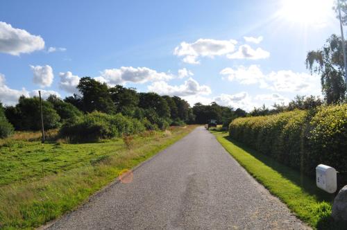 a road with a hedge on the side of it at Koebenhovedskov Bed & Breakfast in Rødding