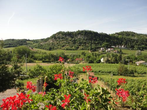 a garden with red flowers in front of a mountain at Agriturismo Nonna Du in Gavi