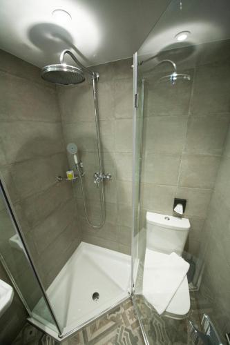 a bathroom with a shower and a toilet at The House of Toby in London