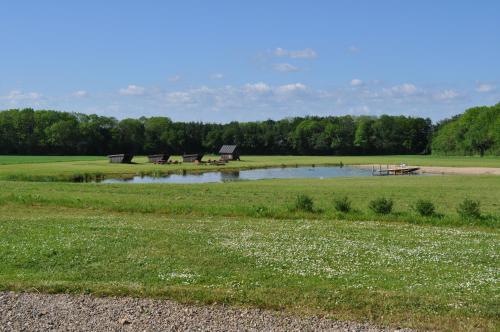 a pond in a field with houses in the background at Koebenhovedskov Bed & Breakfast in Rødding