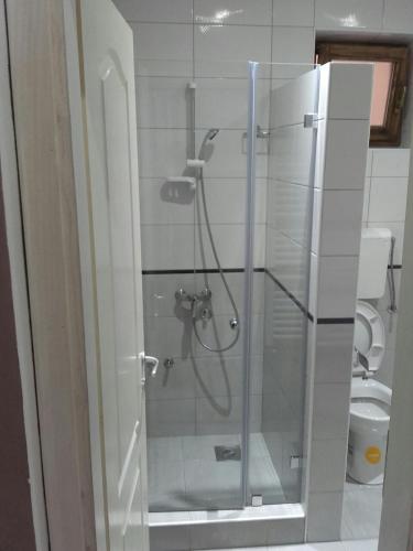 a shower with a glass door in a bathroom at Apartmani Radulović in Vrnjačka Banja