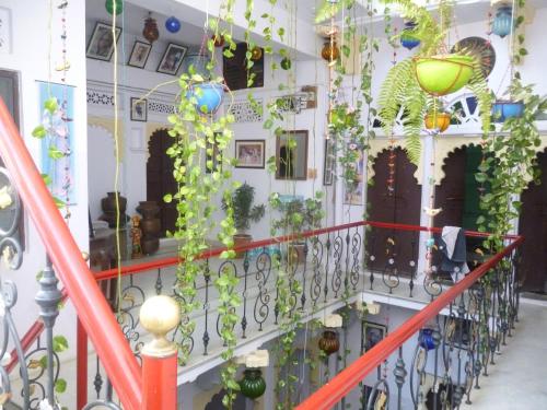 Gallery image of Nukkad Guest House in Udaipur