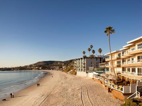 vistas a una playa con palmeras y edificios en Pacific Edge Hotel on Laguna Beach, en Laguna Beach