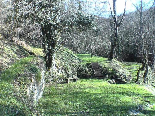 a path with a bench in a field with trees at A House In Tuscany in Bagnone