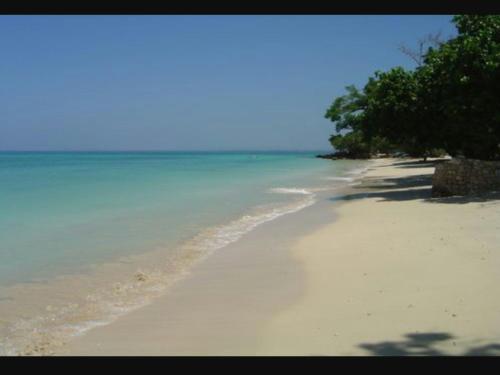 a sandy beach with trees and the ocean at Shades Cottage Guesthouse in Blue Hole