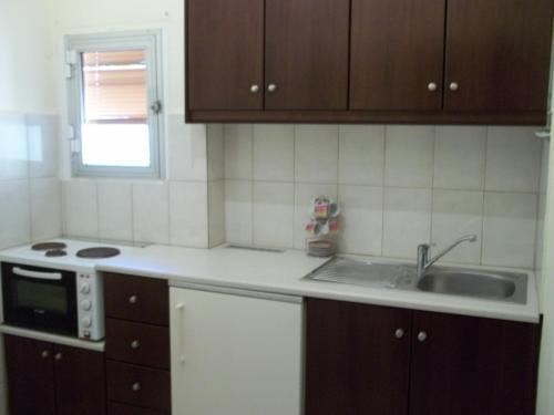 a kitchen with a sink and a microwave at Golden Beach-Tsianis Apartments in Néa Meságkala