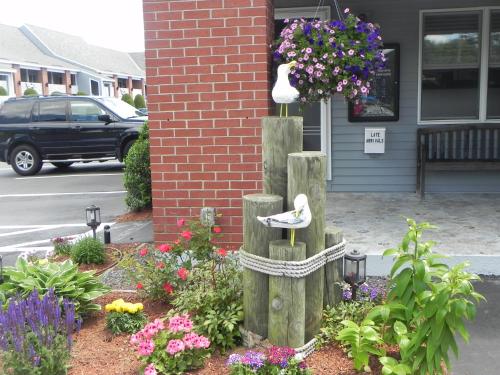 Elmwood Resort Hotel – Photos 2