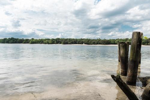 a view of the shoreline of a lake at Hotel De Kruishoeve 's-Hertogenbosch - Vught in Vught