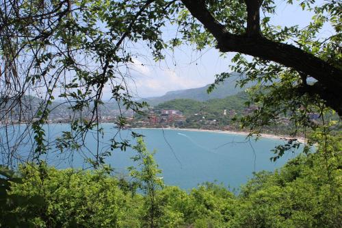 a view of a lake from a tree at Los Mangos in Zihuatanejo