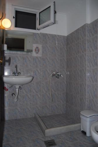 a bathroom with a shower and a sink and a toilet at Dimitris Apartments in Vasiliki