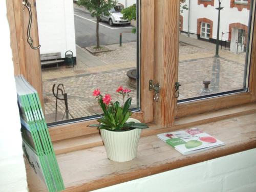 a window sill with a flower pot and a book at Nattely I Viborg By in Viborg