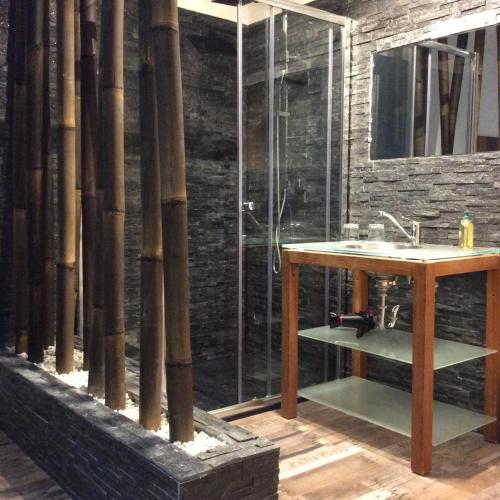 une salle de bain avec un lavabo et une douche dans l'établissement Chambre d'hôtes Le Clos 67, à Saint-Paul-de-Vence