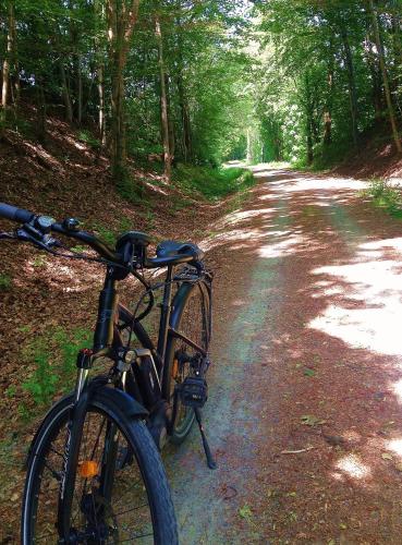 a bike parked on the side of a road at Zur neuen Post Landgasthof in Herzogsreut