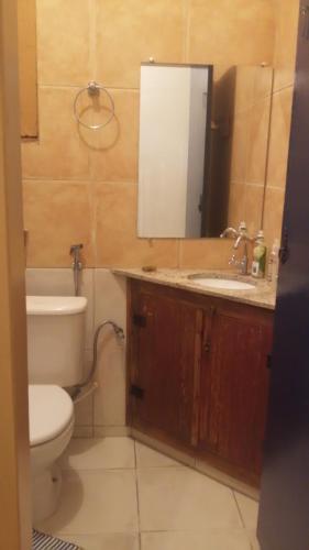 ein Badezimmer mit Toilette, Waschbecken und Spiegel in der Unterkunft Casa de hospedagem Mimos de Minas 2 in Tiradentes