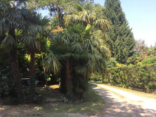 Giardino di Edvina s home