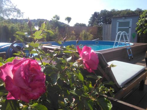 une plante avec des fleurs roses à côté d'une piscine dans l'établissement Le Gite Du Breux Face Semois Chassepierre au 2 ème étage, à Chassepierre