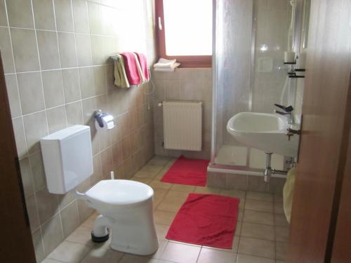 ミルシュタットにあるFerienwohnung Moser am Seeのバスルーム(トイレ、洗面台付)
