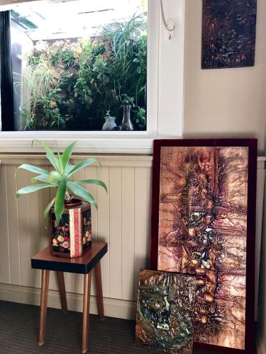 a plant sitting on a table next to a window at Vine Valley Inn in Cessnock