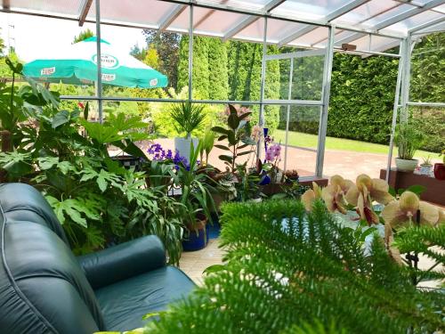 a greenhouse filled with plants and an umbrella at VITA Augustów in Augustów