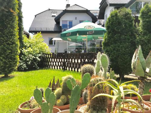 a garden with cactuses and an umbrella in a yard at VITA Augustów in Augustów