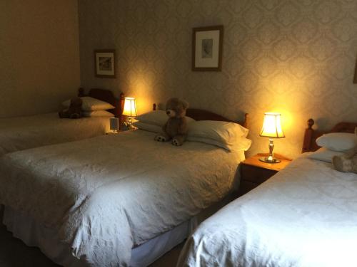 a teddy bear sitting on top of two beds at Inverlochy Villas (Adults Only) in Fort William