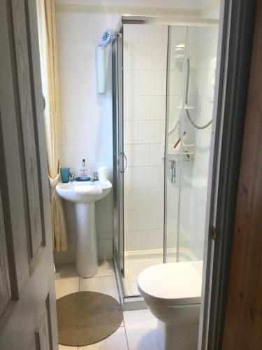 a bathroom with a shower and a toilet and a sink at Inverlochy Villas (Adults Only) in Fort William