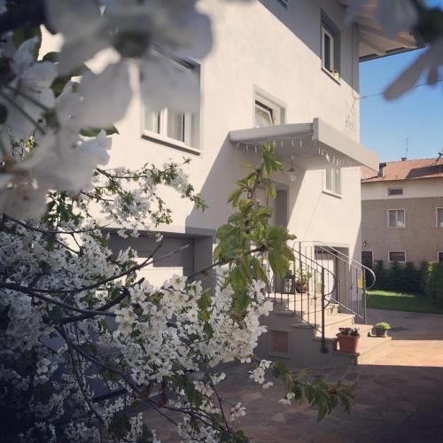 a building with white flowers in front of it at Nenez B&B in Giovo