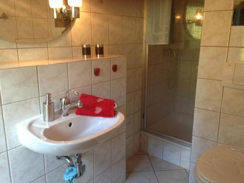 a bathroom with a sink and a shower at Haus Rennsteigrose in Steinheid