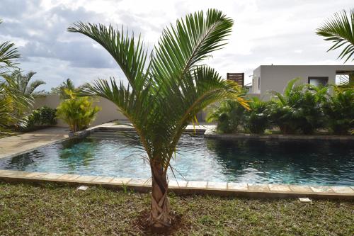 een palmboom voor een zwembad bij Ocean Mist in Flic-en-Flac