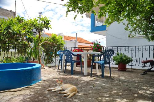 a cat laying on the ground next to a table and chairs at Nikos Rooms in Votsi