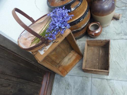 a bouquet of purple flowers in a wooden box at Dippy cottage in Bexhill