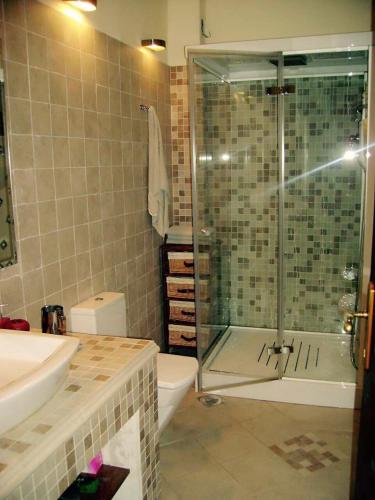 a bathroom with a shower and a toilet and a sink at Vila Dragana in Žabljak