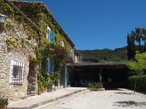 un viejo edificio de piedra con hiedra creciendo en él en Son Reus, en Es Carritxo
