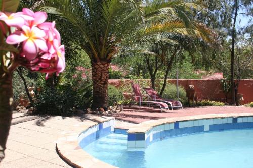 a swimming pool with two chairs and a palm tree at De Vagebond Hotel-Pension in Windhoek