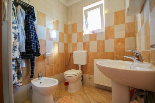 ノヴィグラード・イストラにあるApartments Mianiのバスルーム(トイレ、洗面台付)
