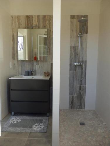 une salle de bain avec un lavabo et une douche avec un miroir dans l'établissement Au bois flotté, à Saint-Pierre-dʼOléron