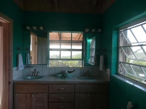 Gallery image of Coconut Beach House in Green Turtle Cay