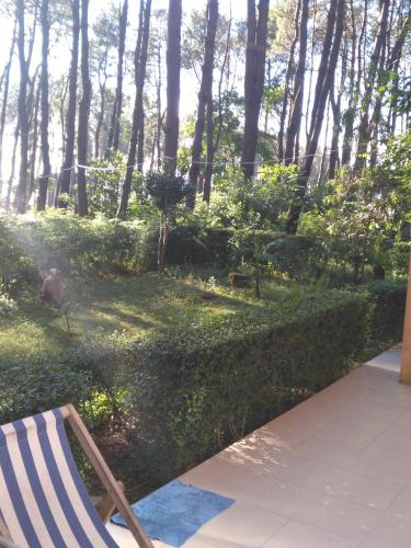 a chair sitting in the grass next to a hedge at Villa Vachnadze in Shekvetili