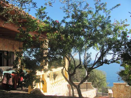 Foresta Forte - Ciolo – Photos 3