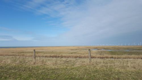 a fence in the middle of a field at Hotel & Restaurant Villa Ulmenhof in Bredstedt