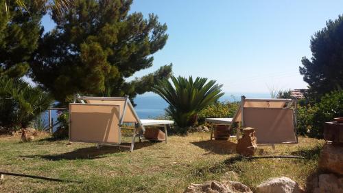 two beehives sitting in the grass in a field at Agave Scopello in Scopello