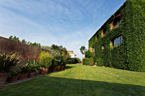 an ivy covered building with a yard at Encís d'Empordà -Adults Only- in Casavells
